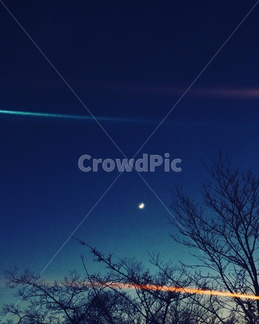 달,불빛,빛,나무,하늘,저녁,야경,밤,풍경,nightscape,night,landscape,nature,자연,outdoors,옥외