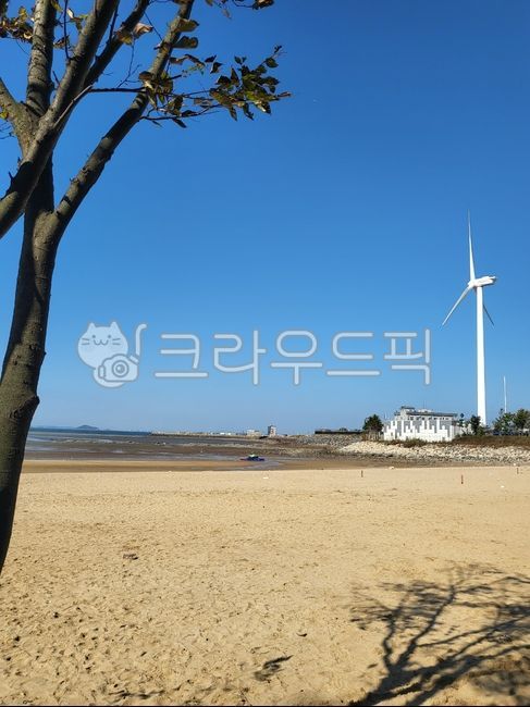 바다,모래사장,나무,바닷가,해변,해변가,풍력발전소,파란하늘,하늘