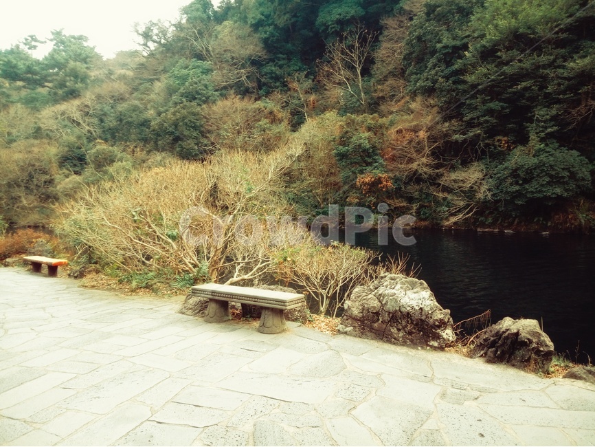 벤치,의자,보도,나무,산,자연,풍경,nature,landscape,한국자연풍경,한국자연경관,korea nature landscape,flagstone,판석,furniture,가구