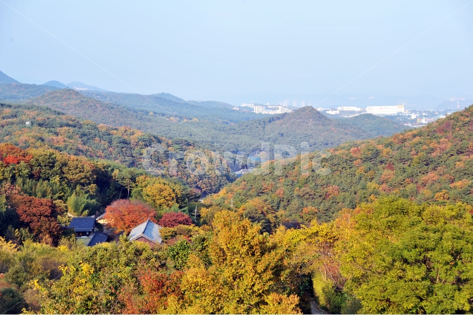 등산,단풍,가을,산,숲,풍경,한옥,가을,계절,fall,autumn,season,자연,풍경,nature,landscape,한국자연풍경,한국자연경관,korea nature landscape,outdoors,옥외
