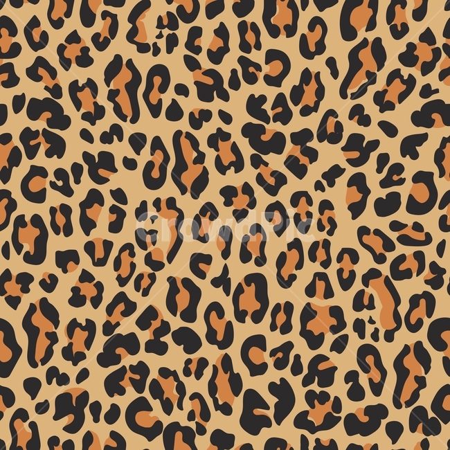 표범무늬,레오파드,leopard,패턴,pattern,seamless,animalskin,검은색,black,white,동물무늬,배경,background,벡터,vector,베이지,갈색,brown,그래픽,일러스트레이션,graphic,illustration,텍스처,질감,패턴,texture,pattern