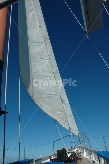 크루즈,보트,배,바다,여름휴가,바캉스,항해,cruise,vacation,sailing,leisure,sports,교통,교통수단,traffic,transportation
