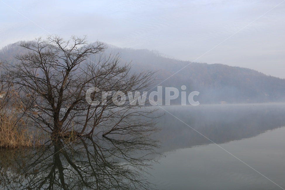 저수지,안개,새벽,물안개,괴산,문광저수지,반영,풍경,낚시터,자연,풍경,nature,landscape,한국자연풍경,한국자연경관,korea nature landscape,weather,날씨,outdoors,옥외
