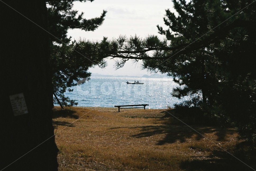 바다,배,의자,나무,풀,하늘,일본,시코쿠,일본여행,필름,필름사진,자연,풍경,nature,landscape,tree,plant,식물,fir,전나무