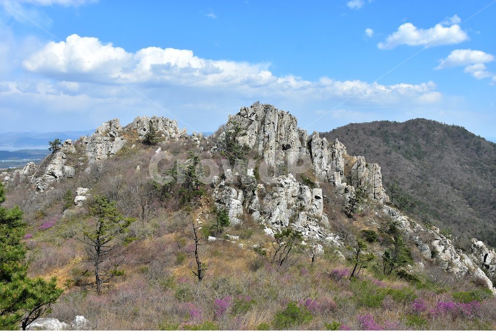 주작산,덕룡산,종주,진달래,풍경,기암,바위,비경,봄풍경,진달래꽃,강진,명산,산행,등산,마운틴,힐링,mountain,landscape,자연,natural,자연,풍경,nature,landscape,한국자연풍경,한국자연경관,korea nature landscape,outdoors,옥외,산,mountain range,산맥