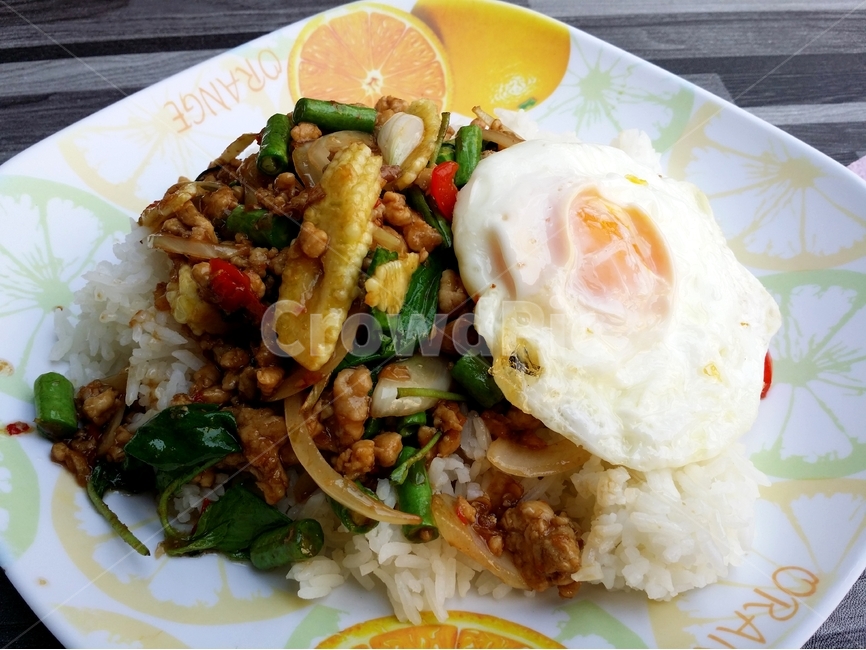 볶음밥,계란후라이,점심,lunch,태국볶음밥,태국음식,음식,식재료,요리,food,cook,meal,dishes,food reserves