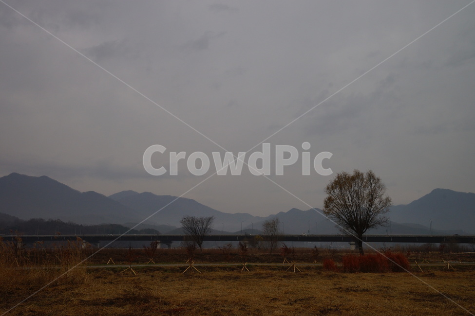 나무,가을,비,가을비,스산한,가을,계절,fall,autumn,season,자연,풍경,nature,landscape,한국자연풍경,한국자연경관,korea nature landscape,outdoors,옥외
