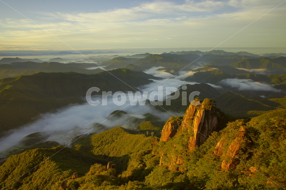 대둔산,운해,신록,구름,안개,소나무,완주군,자연,풍경,nature,landscape,한국자연풍경,한국자연경관,korea nature landscape,outdoors,옥외,plateau,고원