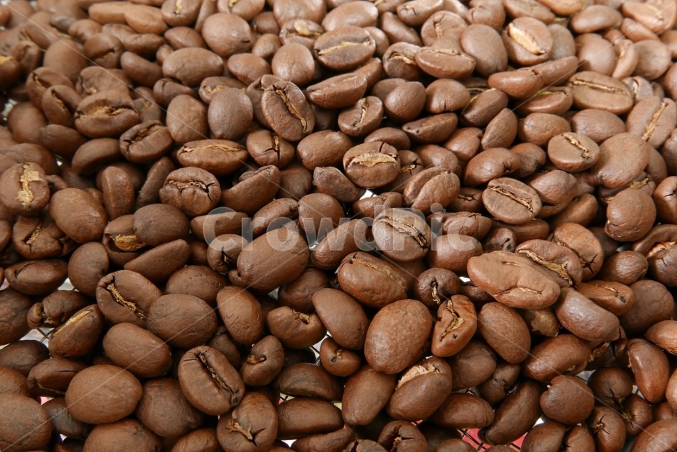 원두,접사,로스팅,홈로스팅,홈카페,커피,카페,coffee,cafe