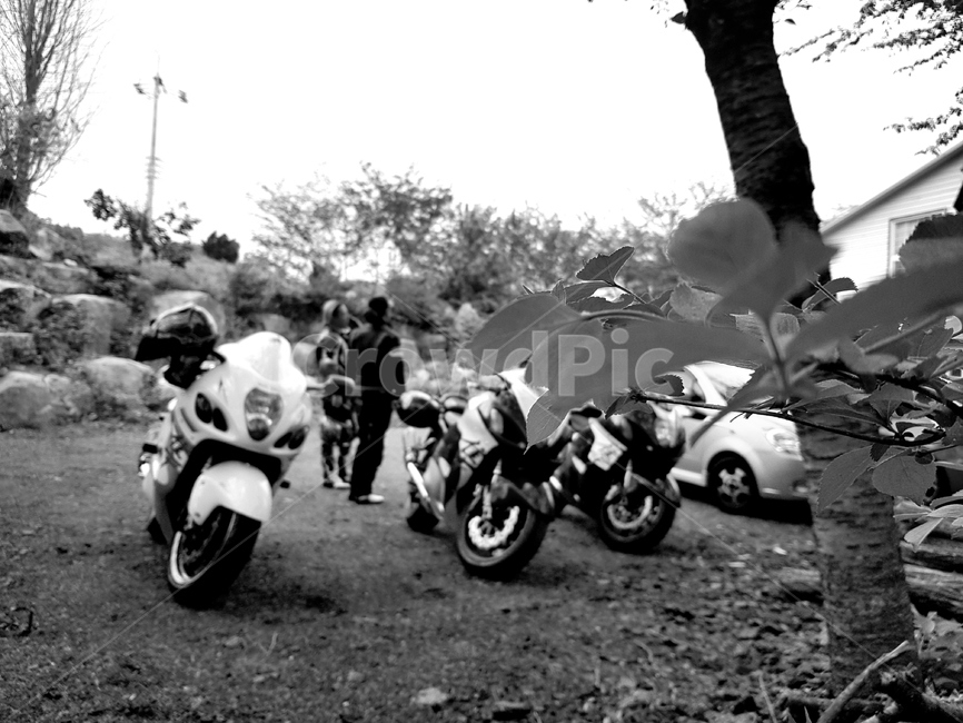 바이크,motorcycle,투어,커피산책,카페,바이크투어,모터사이클,김해,생림,hayabusa,suzuki,하야부사,나뭇잎,나무,아웃포커스