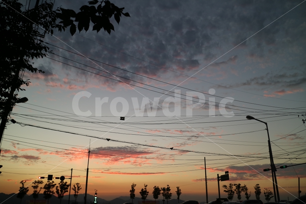 하늘,sky,해질녘,노을,sunset,풍경,view,자연,nature,나무,전선,도로풍경,구름,clouds,교통,교통수단,traffic,transportation