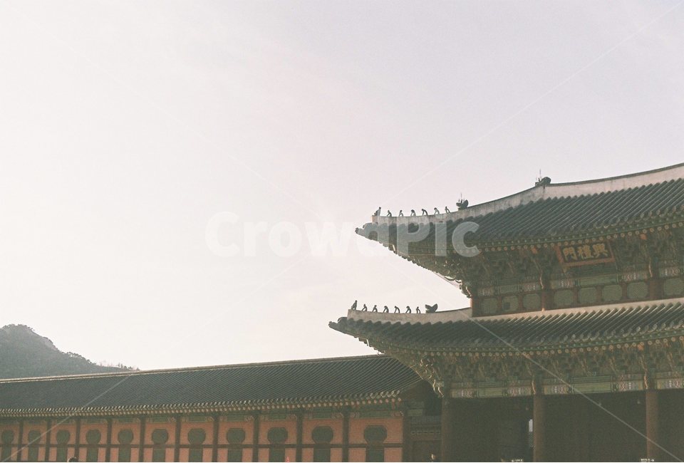 전통,한국전통,한옥,전통가옥,기와집,한국전통,한국문화,korean traditional,korean culture,랜드마크,landmark,tourist attraction,한국랜드마크,한국관광지,한국명소,korea landmark,korea tourist attraction,건축물,건물외관,exterior,building,structure,architecture,construction