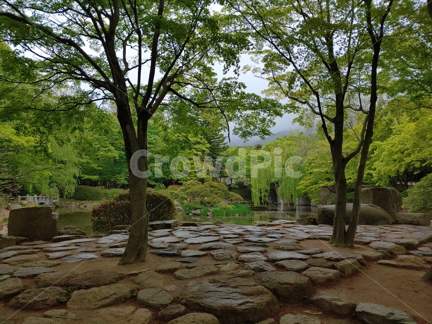 경주,자연,호수,나무,식물