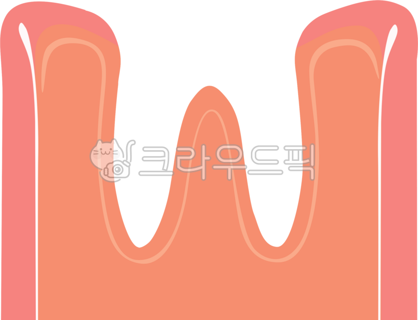 Face,face illustration,face part,face part illustration,dentistry,dental illustration,teeth,teeth illustration,brushing teeth,brushing teeth illustration,gums,gum illustration,teeth,teeth illustration