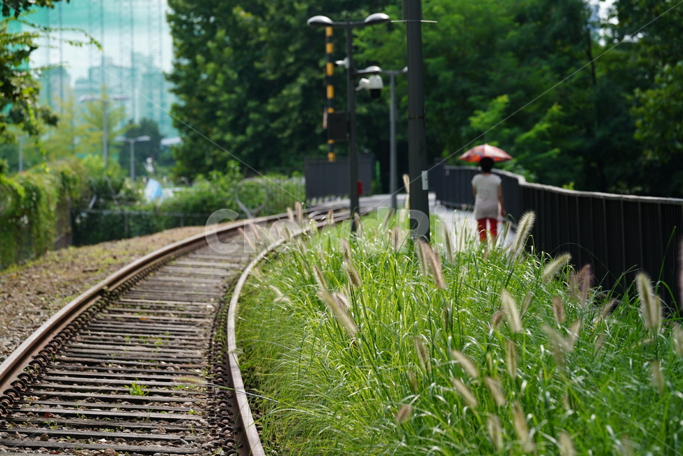 철길,레일,rail,길,철,기찻길,교통,railway,transportation,교통,교통수단,traffic,transportation