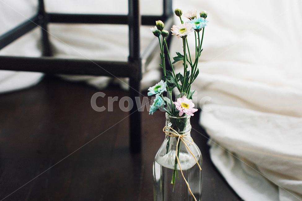 꽃,소국,국화꽃,화병,자연,꽃,flower,실내용화초,화분,화초,house plant