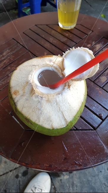 코코넛,베트남,열대,과일,음료,음료수,drink,beverage