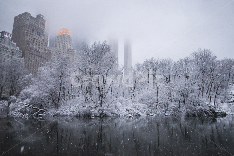 nature,자연,outdoors,옥외,눈,흰눈,눈보라,호수,뉴욕,도시,중심지,미국,central,park,snow,winter,usa,lake,city,lights,buildings,겨울,계절,winter,season