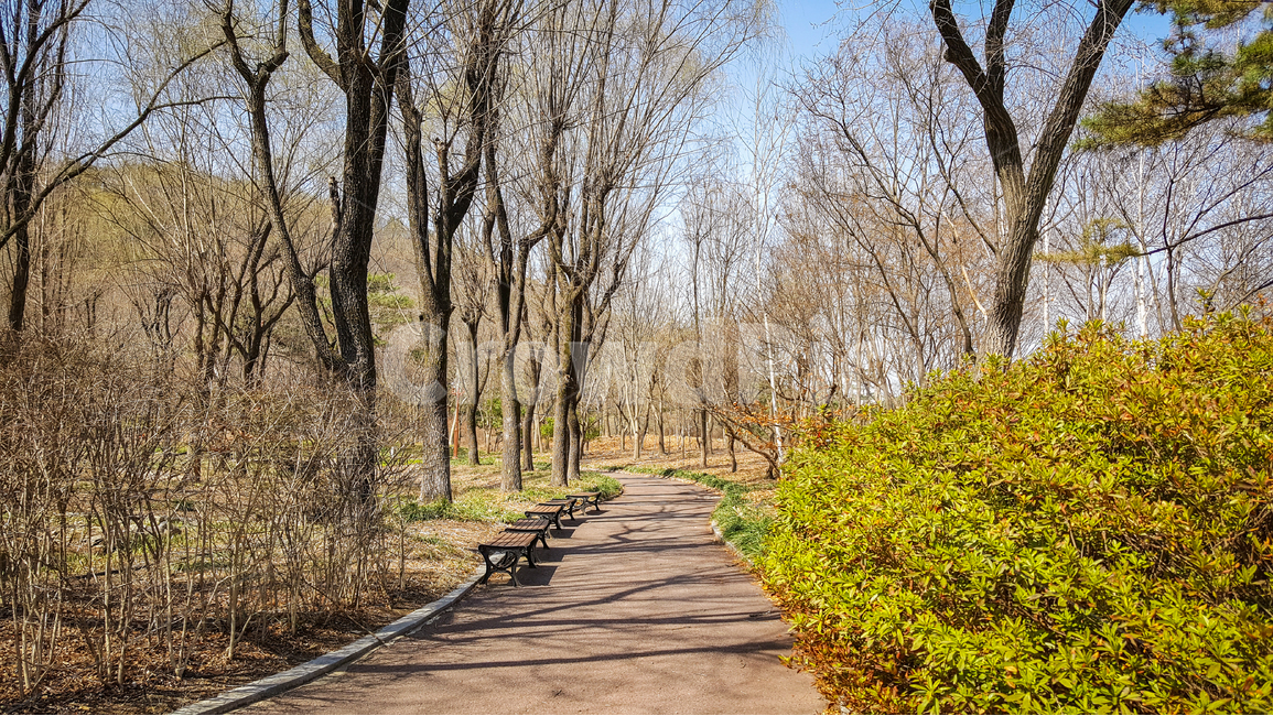수목원,숲길,산길,자연,힐링,길,나무,자연,풍경,nature,landscape,path,통로