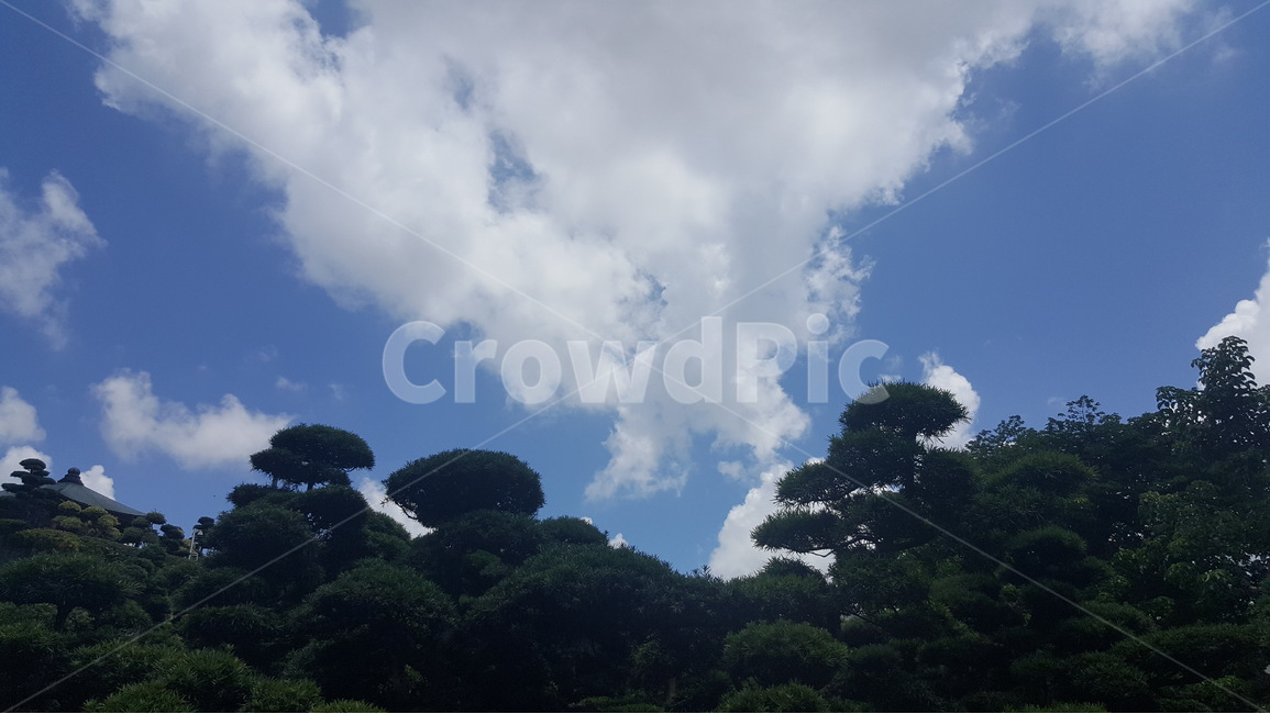 홍콩,hongkong,nanlian,난리안,정원,햇살,하늘,힐링,자연,풍경,nature,landscape,weather,날씨,outdoors,옥외,cloud,구름,cumulus,적운,sky