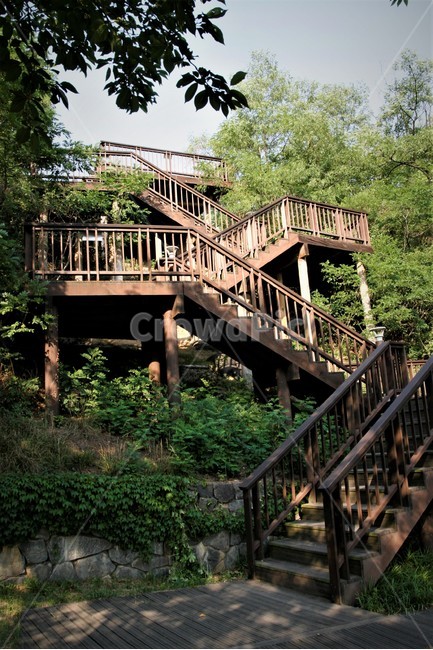 북서울,꿈의숲,나무,계단,공원,건축물,건물외관,exterior,building,structure,architecture,construction
