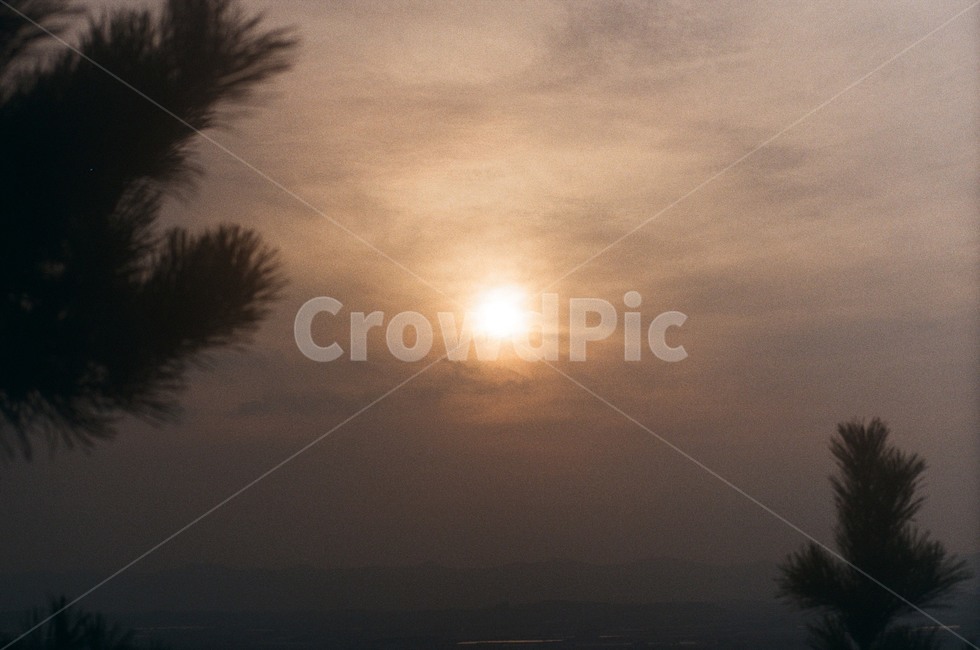노을,석양,구름,하늘,나무,cloud,highnoon,자연,풍경,nature,landscape,light,빛,flare,플레어,tree,plant,식물