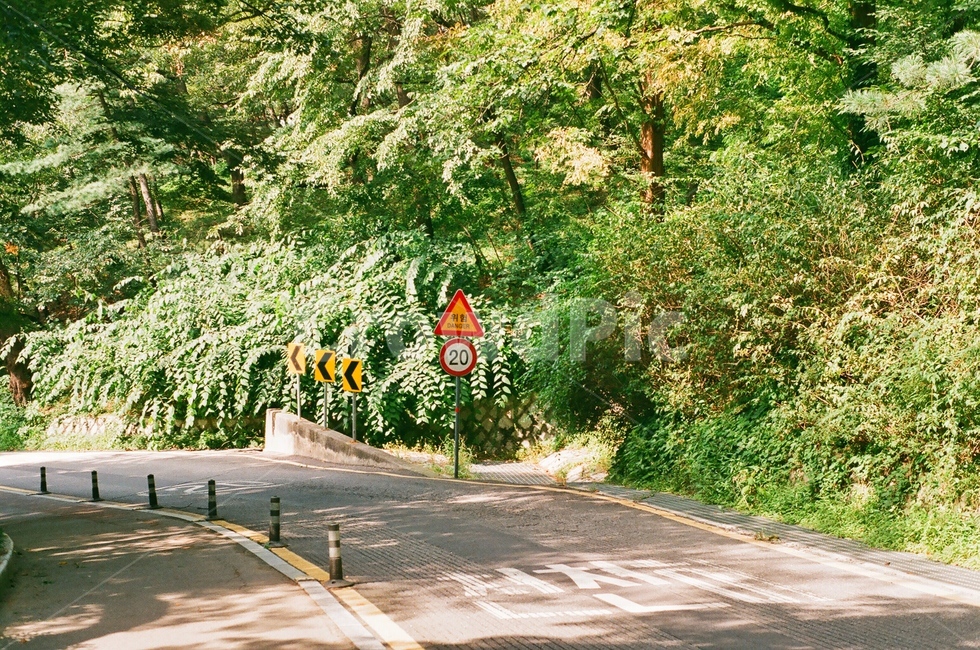 길,도로,road,표지판,자연