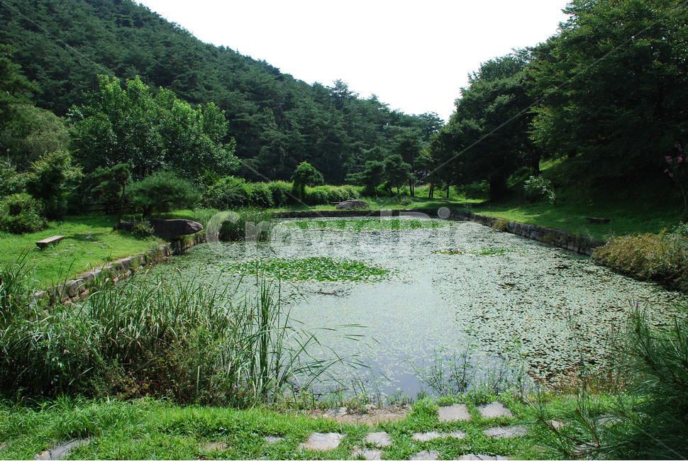 연못,한국식정원,연꽃,못,정원,자연,풍경,nature,landscape,water,물,outdoors,옥외,land,땅,pond