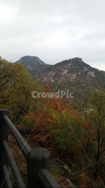 자락길,인왕산,숲,산,가을,단풍,흐린