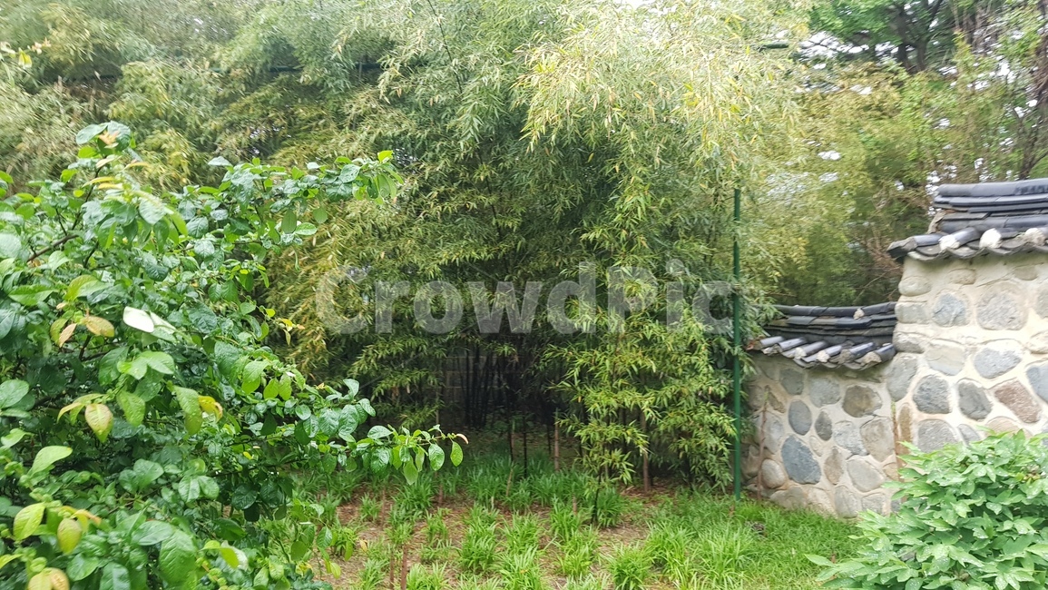 garden,자연,돌담,nature,풍경,한국