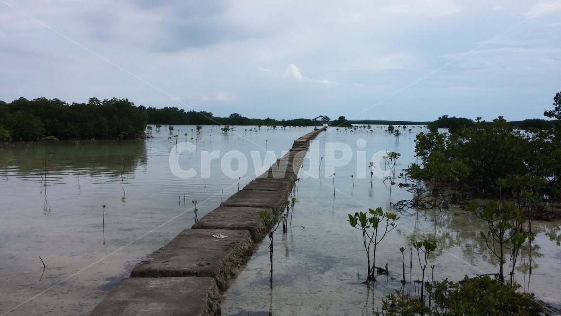 water,물,waterfront,워터프론트,boardwalk,산책로,bridge,다리,building,건물,하늘,자연,풍경,nature,landscape