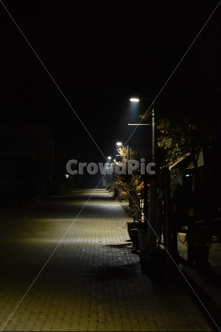 야경,밤,해이리,가로등,조명,나무,길거리,야경,밤,풍경,nightscape,night,landscape,골목길,alley