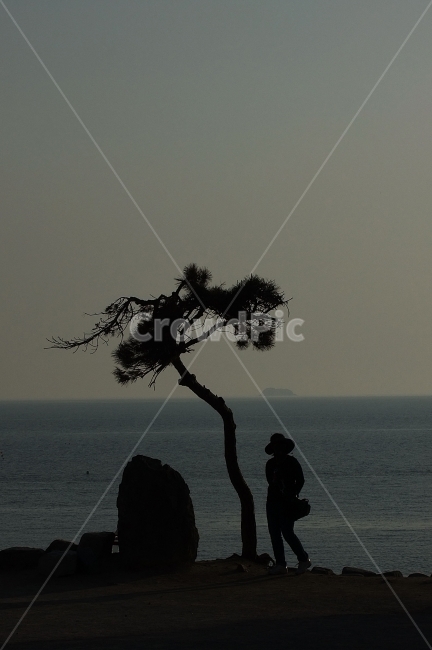 인물,실루엣,그림자,역광,하늘,바다,나무,식물,자연,plants,nature,나무,trees,wood,사람,인물,인간,human,person,실루엣,그림자,silhouette,shadow,인물실루엣,사람실루엣,character silhouette,human silhouette,tree,plant