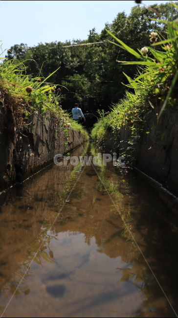 함양,풍경,수로,풀,나무,자연,풍경,nature,landscape