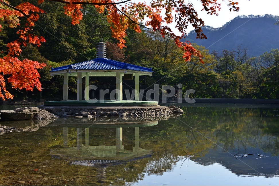 정읍,내장사,우화정,우화정가을,가을,계절,추색,추경,경,경관,풍경,자연,plant,식물,leaf,잎,maple,단풍,나무,gazebo,전망대,가을,계절,fall,autumn,season,자연,풍경,nature,landscape,한국자연풍경,한국자연경관,korea nature landscape