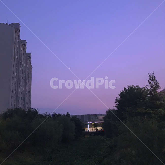 달,보라,보라색,하늘,감성,분위기