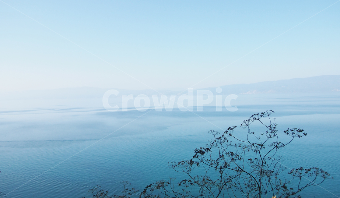 하늘,나무,실루엣,배경,그림자,scenery,green,mysterious,landscape,풍경,frost,background,forest,경치,branch,dreamlike,나뭇가지,crystal,beautiful,winter,tree,sky,silhouette,refreshing,blue,object,cool,cold,nature,자연,outdoors,grass,plant,식물,자연,풍경,nature,landscape