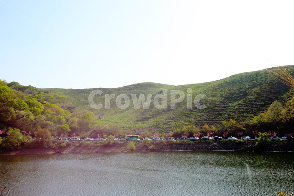 봄꽃구경,꽃구경,꽃놀이,차량행렬,봄나들이,나들이,nature,자연,outdoors,옥외,water,물