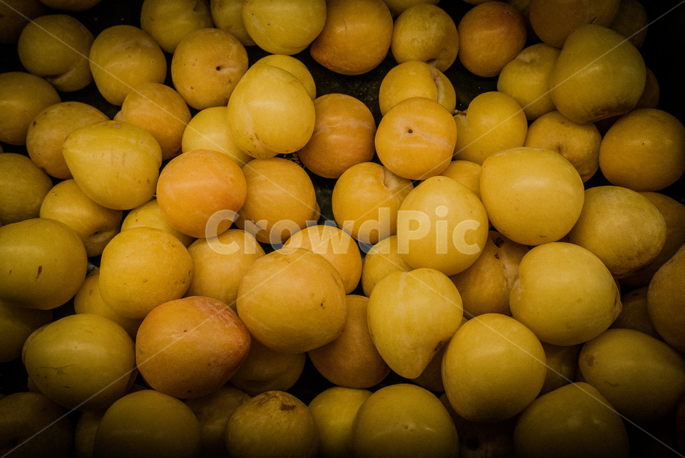 자두,서양자두,프랑스과일,유럽과일,red,fruit,과일,노란자두,yellow,외국과일,유럽,노란색,노랑,노란,음식,식재료,요리,food,cook,meal,dishes,food reserves,과일,열매,fruit