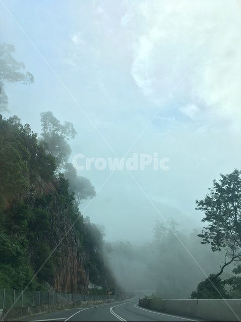 안개,도로,산,풍경,하늘,몽환,fog,호주,산길,나무,분위기