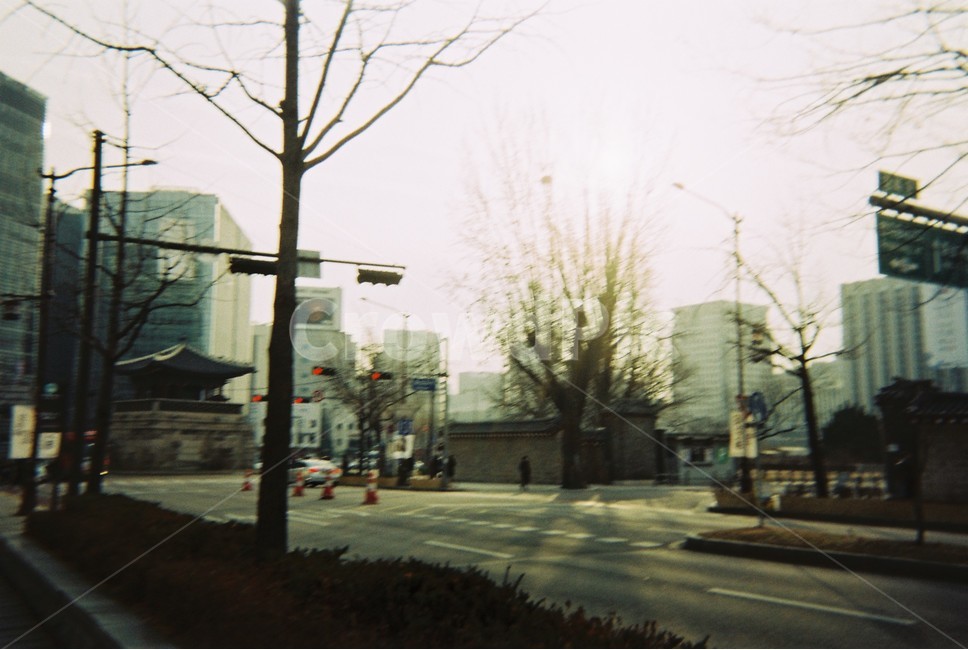 도로,겨울,표지판,산책,도시