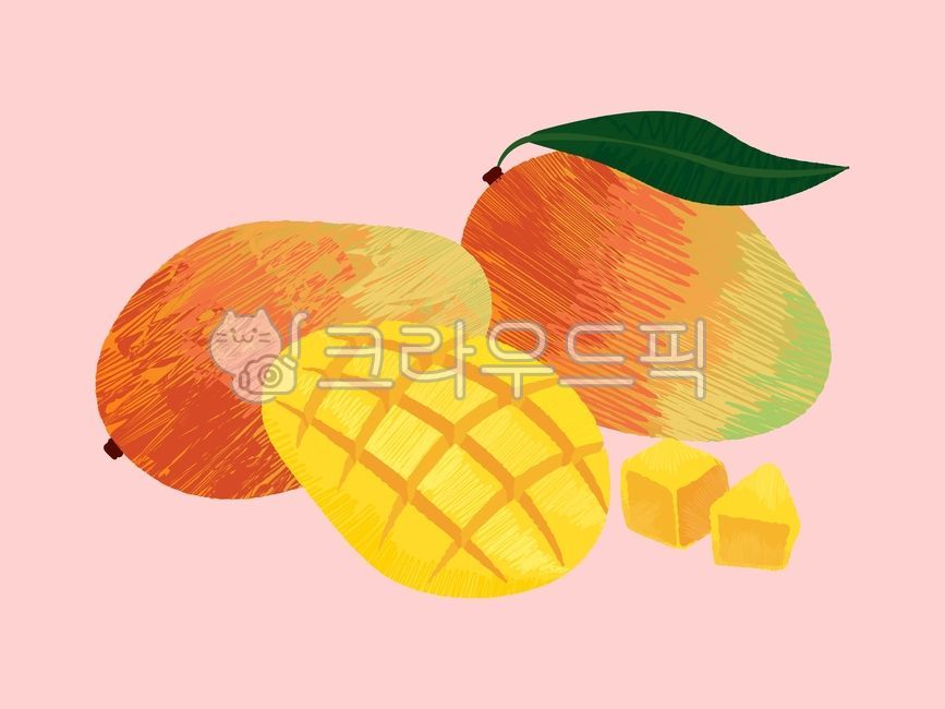 과일,망고,애플망고,mango,fruit,일러스트,벡터,손그림,열대과일,단면