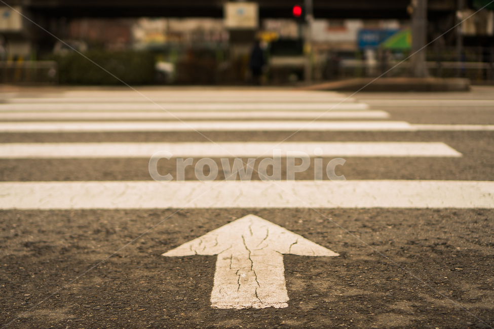 도로,차도,아스팔트,횡단보도,road