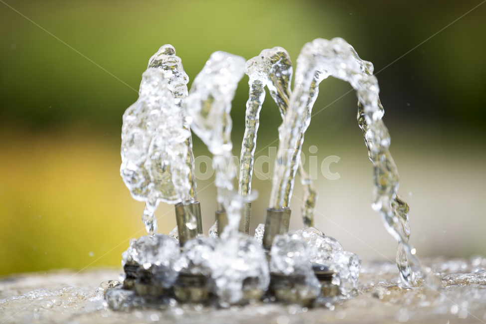 분수,물움직임,fountain,물살,찰나의순간,여름,계절,summer,season,water,물,outdoors,옥외