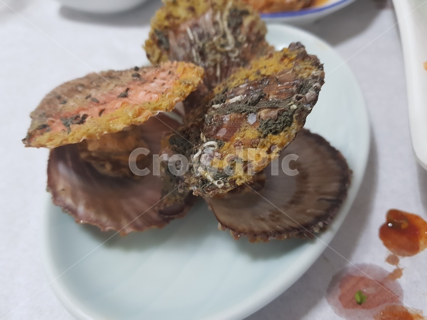 해산물,바다,가리비,수산물,씨푸드