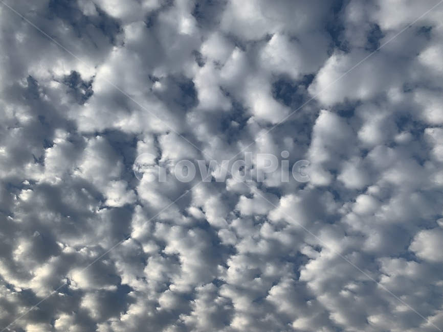 구름,양떼구름,하늘,자연,풍경,자연,풍경,nature,landscape,outdoors,옥외,weather,날씨,cumulus,적운,sky,cloud