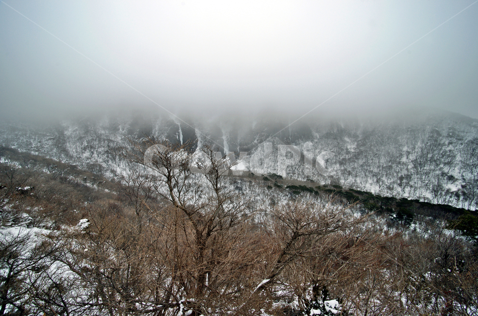 한라산,설경,제주도,영실코스,눈,겨울,안개,영실기암,겨울,계절,winter,season