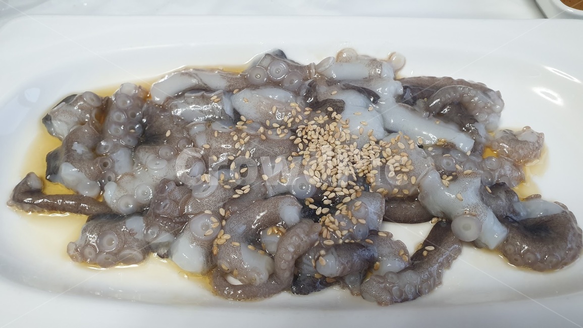 산낙지,낙지,회,해산물,음식,food