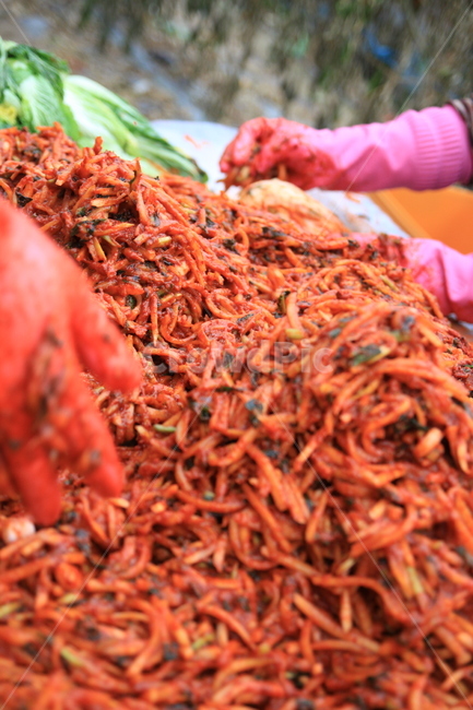 김치,김장,한국,전통,김치속,한국전통,한국문화,korean traditional,korean culture,음식,식재료,요리,food,cook,meal,dishes,food reserves