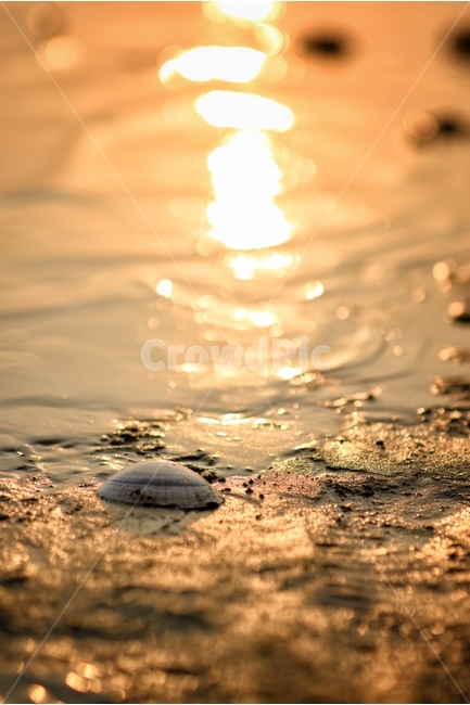 바다,일몰,가족,실루엣,노을,풍경,자연,풍경,nature,landscape,감성,sensible,feeling,water,물,outdoors,옥외